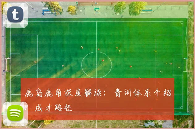 鹿岛鹿角深度解读:青训体系介绍:成才路径