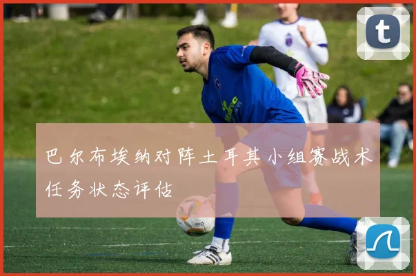 巴尔布埃纳对阵土耳其小组赛战术任务状态评估