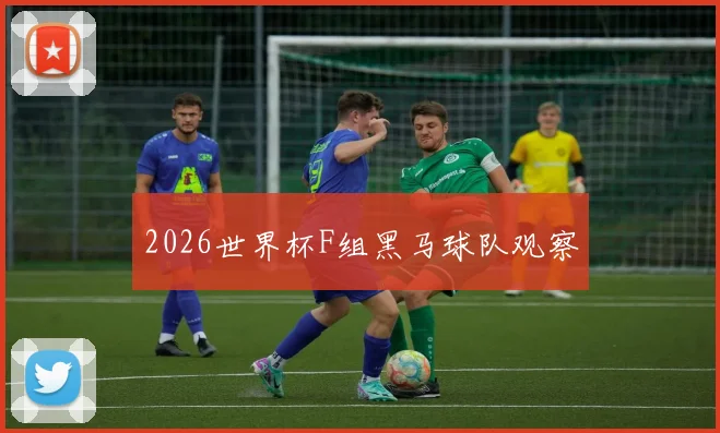 2026世界杯F组黑马球队观察